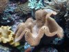 DSC02054.JPG