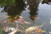 100_0225.JPG