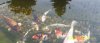 100_0224.JPG