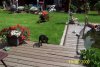 100_0267.JPG