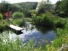 tn_Gartenteich Juni 2011 (7).jpg