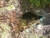 DSCF6131.JPG