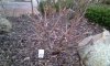 IMAG0158.jpg