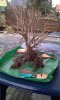 IMAG0160.jpg