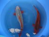 japan 2012 188.jpg