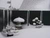 imWinter2010+11.jpg