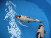 Interkoi 2012 021.JPG