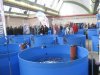 Interkoi 2012 007.JPG