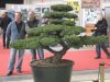 Interkoi 2012 004.JPG