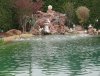 IMG_4696.jpg