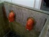 k-IMG_0030.JPG
