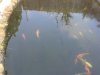 20120422_114041.jpg