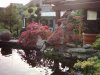 garten12 (33).JPG
