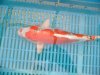 DSCF2861.JPG