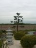k-DVCI0423.JPG