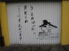 IMG_7254.JPG