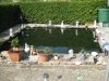 Teich-04_05_12.jpg