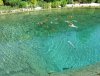IMG_2007.jpg