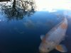IMG_0214_(640_x_480).jpg