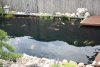 K800_2011_08_21_0786.JPG
