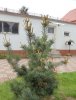 DSC01405.JPG