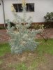DSC01382.JPG