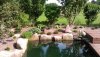 IMAG0443.jpg