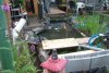 007_teich_13_06_2011 046.jpg