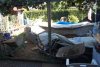 014_teich_13_06_2011 046.jpg