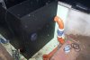 118b_teich_13_06_2011 046.jpg