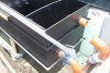 119_teich_13_06_2011 046.jpg