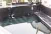 131_teich_13_06_2011 046.jpg