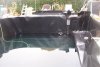 132_teich_13_06_2011 046.jpg