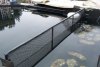 132a_teich_13_06_2011 046.jpg