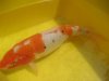 IMG_0100_(640_x_480).jpg