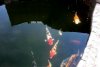 159a_teich_13_06_2011 046.jpg