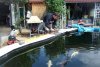 160_teich_13_06_2011 046.jpg