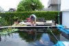162_teich_13_06_2011 046.jpg