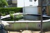 167_teich_13_06_2011 046.jpg