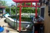 173_teich_13_06_2011 046.jpg