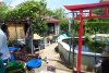 174_teich_13_06_2011 046.jpg