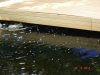 DSC04114.JPG