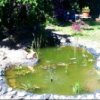 Handy Bilder 874.jpg