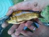 K1024_2012-05-26 20.57.36.JPG