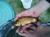 K1024_2012-05-26 20.57.29.JPG