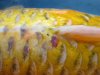 IMG_5254neu.JPG