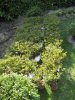 Gartengestalltung 001.JPG