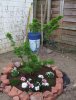 gartenbonsai3.jpg