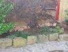 garten95%4.jpg
