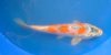 DSCF6879.JPG